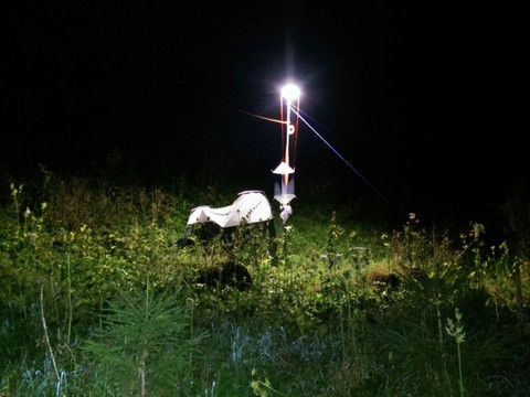 L'éclairage nuit à la pollinisation par les insectes nocturnes