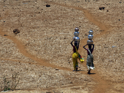 La chaleur risque de rendre l'Asie du sud invivable d'ici 2100