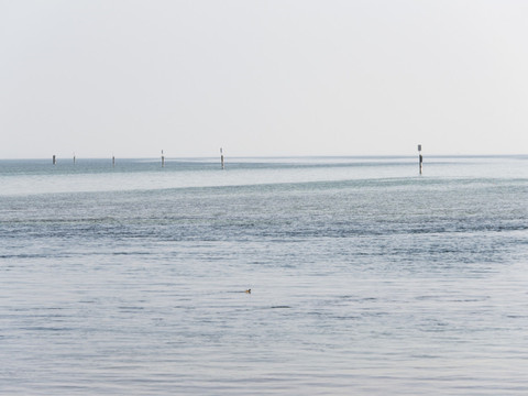 Chute d'un avion dans le lac de Constance, deux personnes à bord