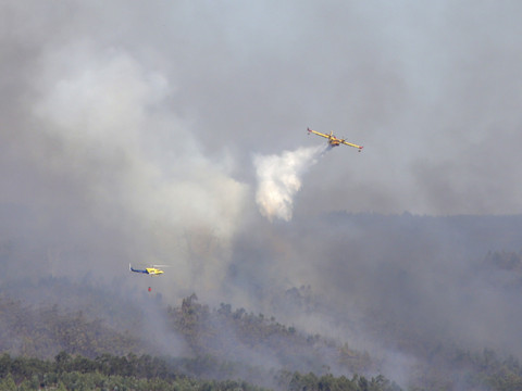 Incendies au Portugal: relative accalmie avant un week-end à risque
