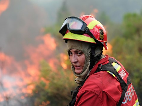 Combat couronné de succès pour les pompiers mobilisés en Corse et au Portugal