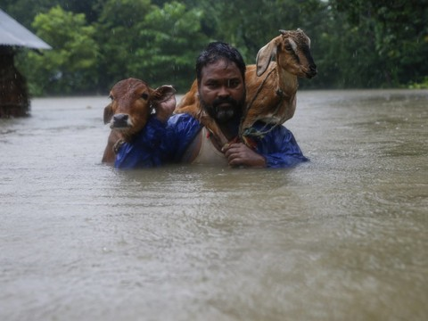 Au moins 40 morts au Népal et six en Inde
