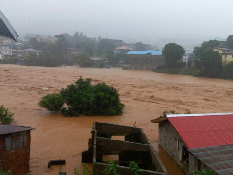 Des coulées de boue ont fait au moins 312 morts à Freetown