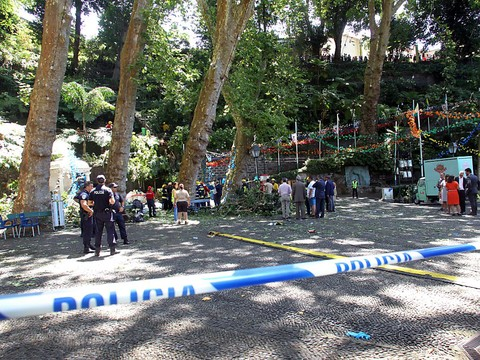 Portugal: la chute d'un arbre fait treize morts à Madère