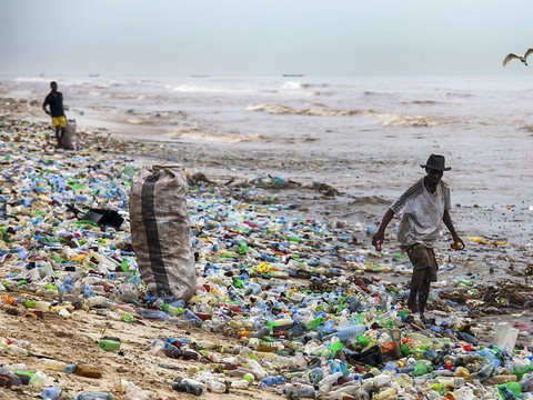 Les débris de plastique ont l'odeur de la nourriture (étude)