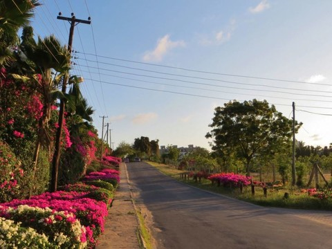 Un couple suisse assassiné à Mombasa au Kenya