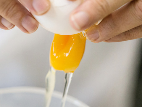 Pas de traces de l'insecticide fipronil dans les oeufs suisses