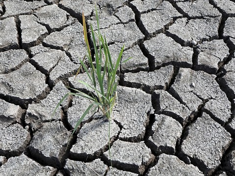 Caritas exige une contribution suisse d'un milliard de francs pour le climat