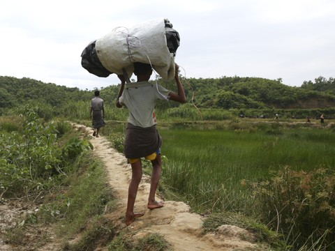 Rangoun va ouvrir des camps pour les Rohingyas déplacés