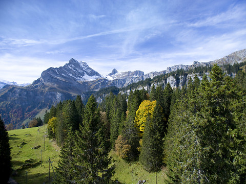 Un politicien allemand a été tué dans le crash de Braunwald (GL)