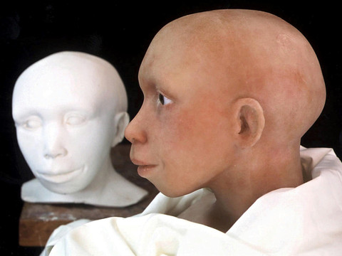 Le crâne d'un Néandertal se développait comme celui d'Homo sapiens