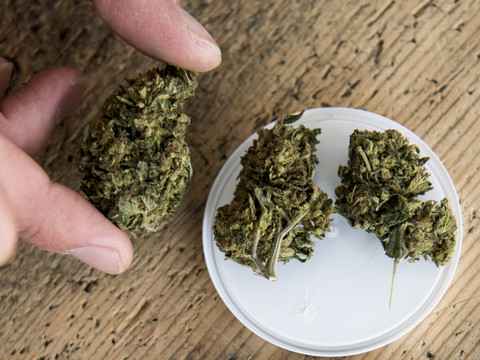 Fin des amendes à Lucerne et Zurich jusqu'à dix grammes de cannabis