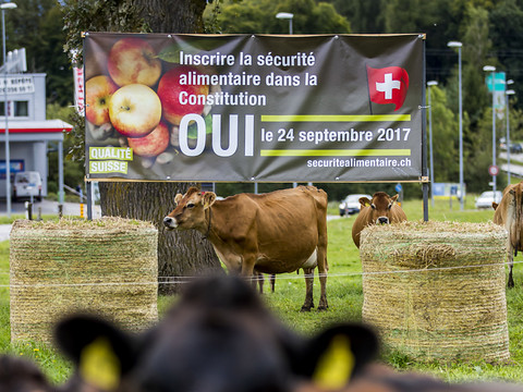 Les Suisses en passe d'adopter le nouvel article constitutionnel