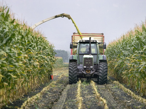 Le National ne laisse aucune chance à l'initiative des Verts