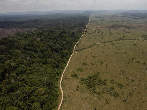 Les forêts tropicales émettent désormais plus de CO2 qu'elles n'en capturent