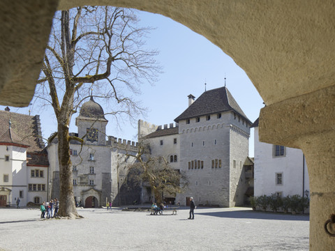 Une journée pour découvrir les châteaux suisses