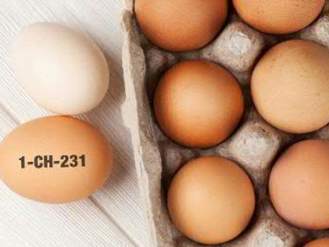 Migros rappelle des oeufs pouvant contenir des salmonelles