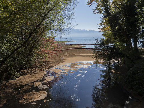 Vaud: la Mèbre gravement polluée à Chavannes-près-Renens