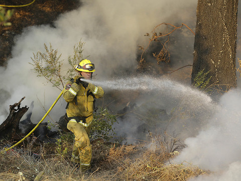 Les incendies dans le nord de la Californie ont fait 31 morts
