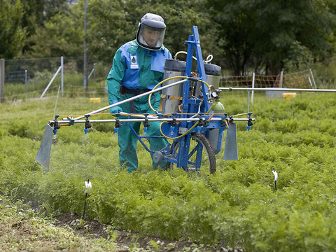 Le Conseil fédéral adopte les nouvelles ordonnances agricoles 2017