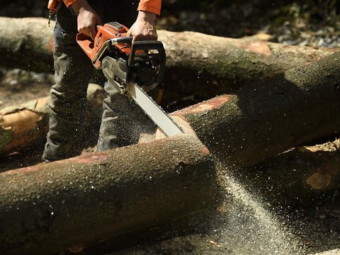 De matériau classique, le bois se transforme en ressource du futur