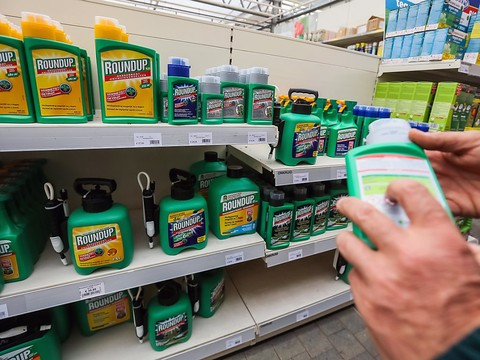 Bruxelles bute toujours sur le glyphosate
