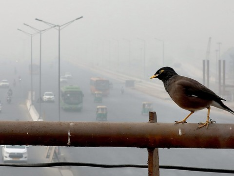 Les émissions de CO2 repartent à la hausse dans le monde en 2017