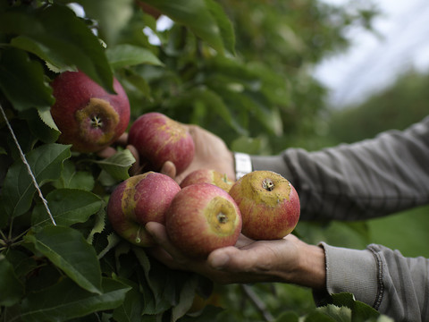 La politique agricole 2022 est inutilisable selon les paysans