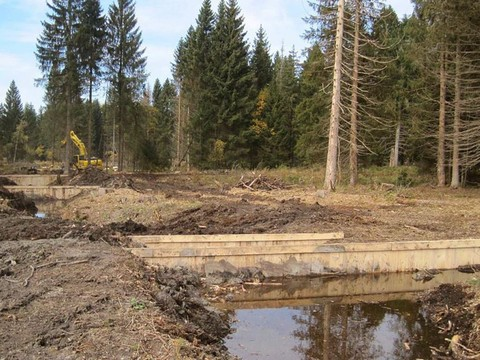 Remise en eau des hauts-marais pour protéger le climat