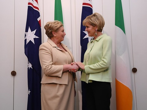 Motion de défiance contre le gouvernement irlandais