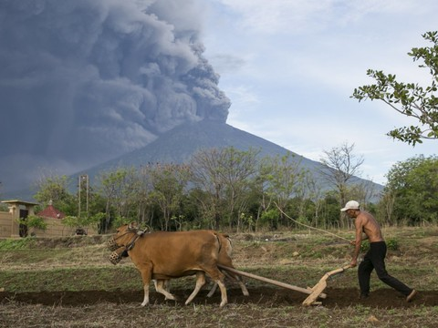 Alerte maximale décrétée à Bali en raison du volcan Agung