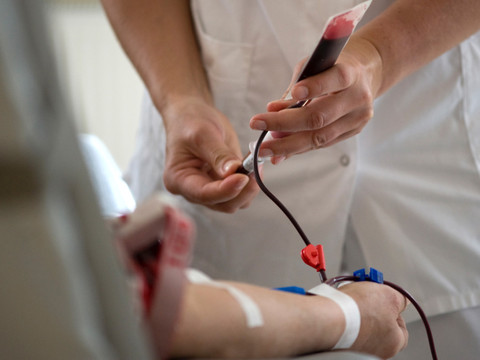 Les sénateurs ne veulent pas lever les restrictions envers les gays