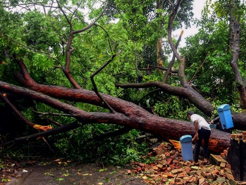 Le cyclone Ockhi tue neuf personnes en Inde et sept au Sri Lanka