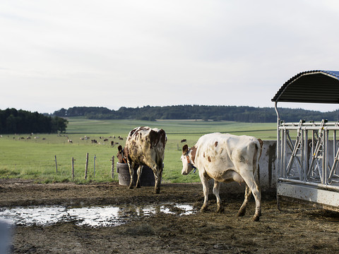 Le Conseil national apporte son soutien à la promotion agricole