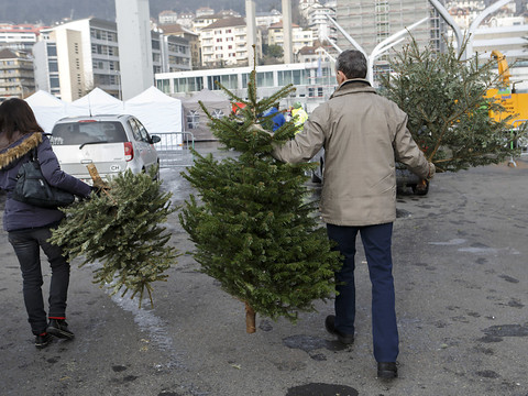 Sapins décorés plus tôt - Risques d'incendies relevés