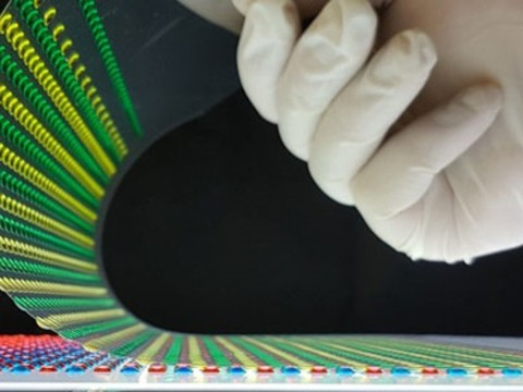 Batterie biocompatible inspirée de l'anguille électrique