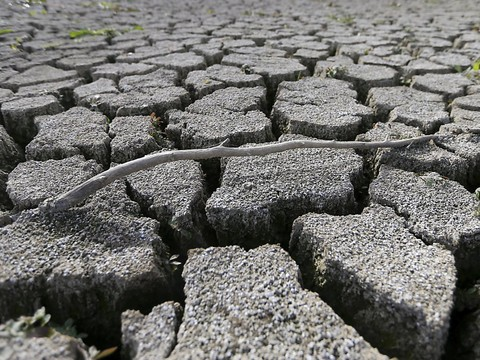 Réchauffement climatique, seul responsable de la canicule en 2016