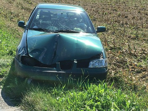 Fillette tuée: un automobiliste condamné à 30 mois de prison