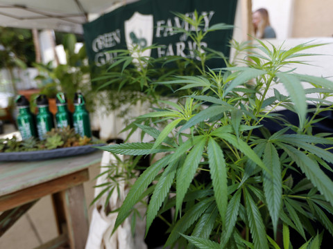 La marijuana récréative est en vente légale en Californie