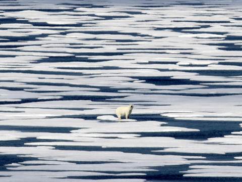 Un quart des terres plus sèches en cas de hausse de 2°C