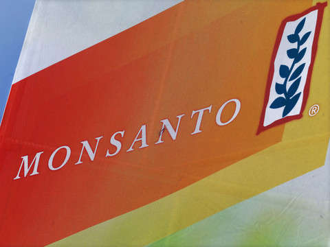 Monsanto dopé par les ventes de soja transgénique au 1er trimestre