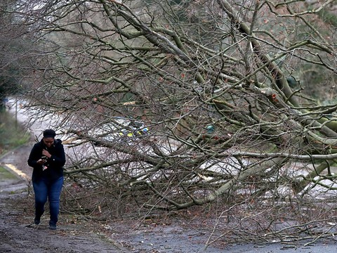 Assurances: 200 millions d'euros de dégâts, selon une estimation