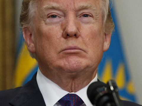 Reconnaître un chameau ou tracer l'heure: le test proposé à Trump
