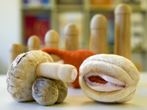 Education sexuelle aux enfants conforme aux droits fondamentaux