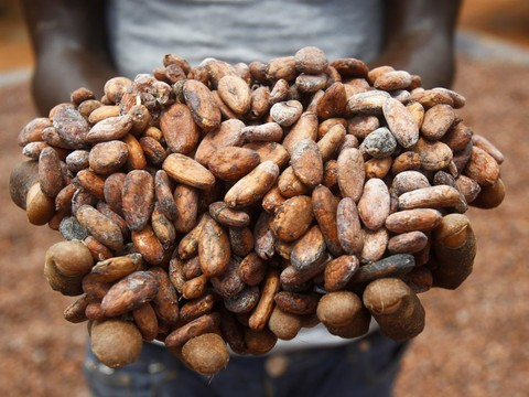 Barry Callebaut a souffert des baisses de prix au 1er trimestre