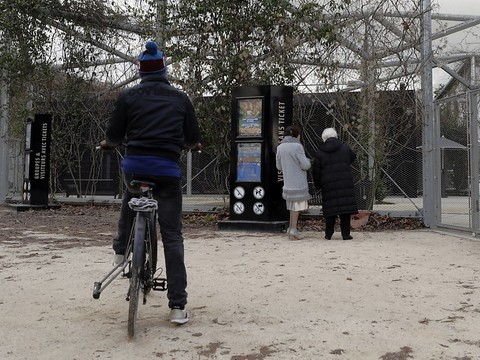 Le zoo de Paris rouvre après le retour de babouins évadés