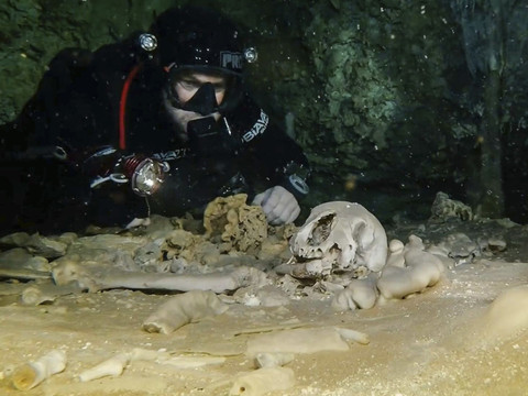 Des vestiges mayas découverts dans une immense grotte inondée au Mexique