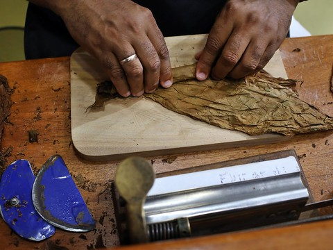 Exportation record de cigares cubains, stimulée par la Chine