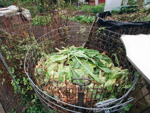 Un compost bien entretenu ne sent pas mauvais, selon le TF