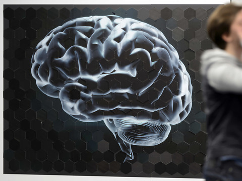 Dès 13 ans, le cerveau cesse de produire les neurones de la mémoire